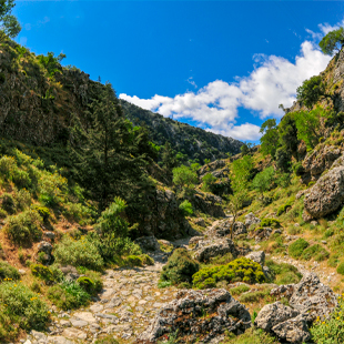 Korter, maar niet minder mooi: de Imbroskloof